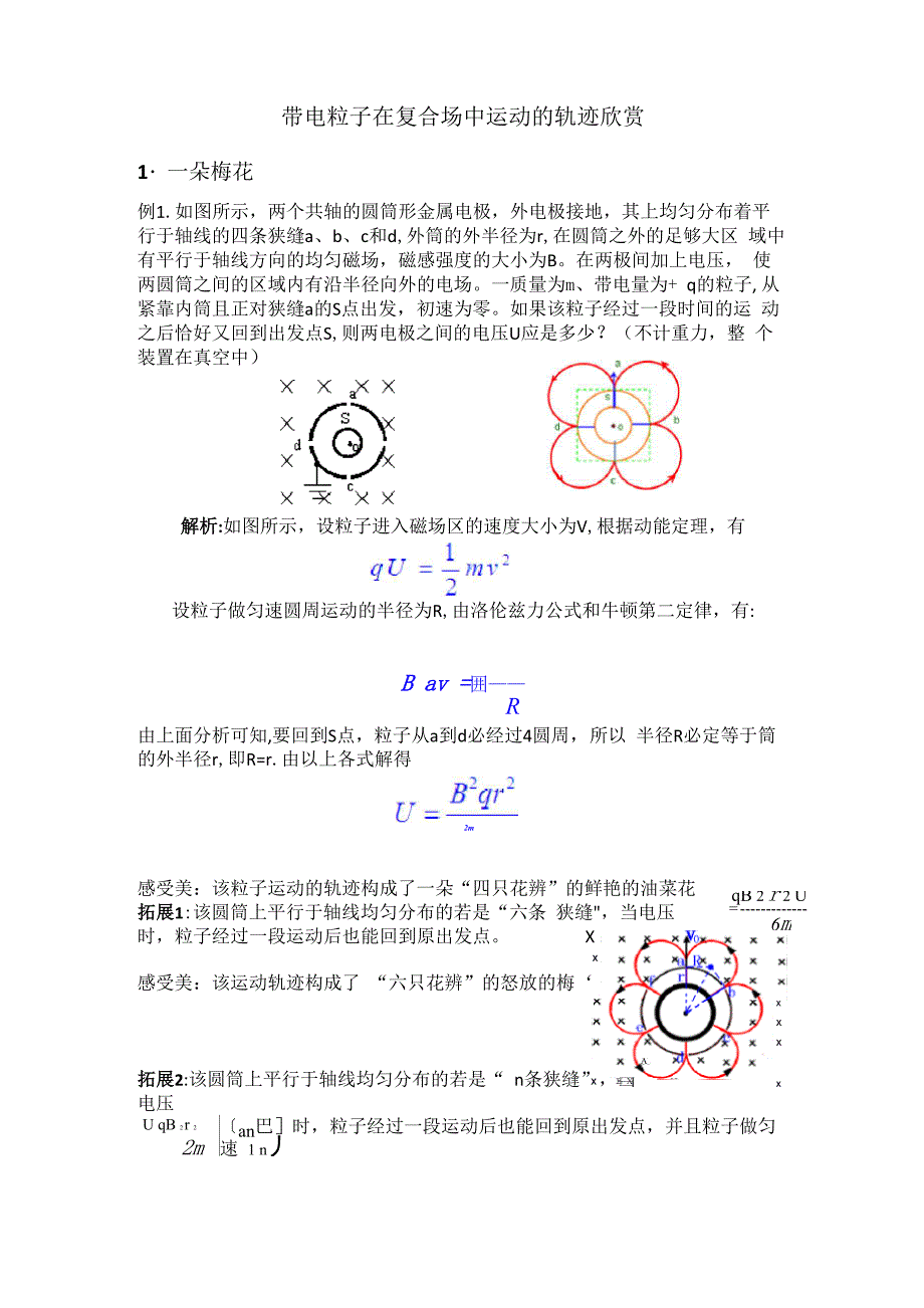 带电粒子在磁场中运动的轨迹欣赏_第1页