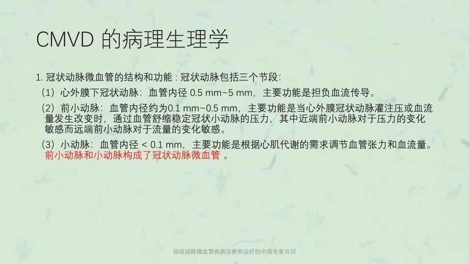 冠状动脉微血管疾病诊断和治疗的中国专家共识课件_第5页