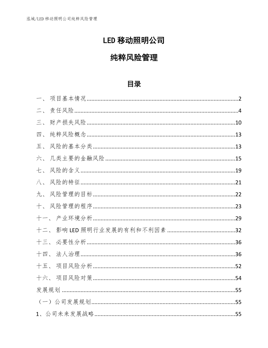 LED移动照明公司纯粹风险管理（范文）_第1页