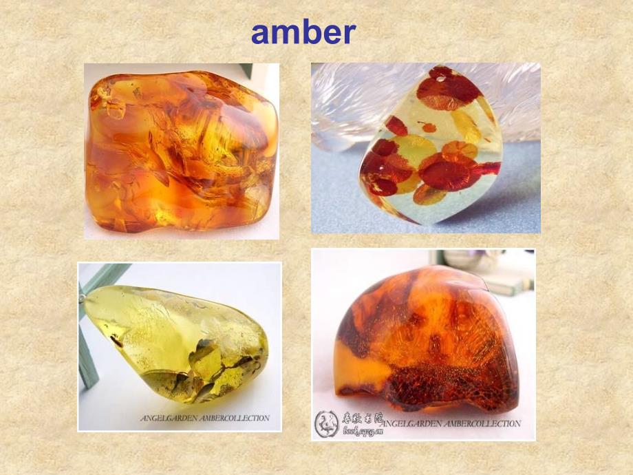 Insearchoftheamberroom_第2页