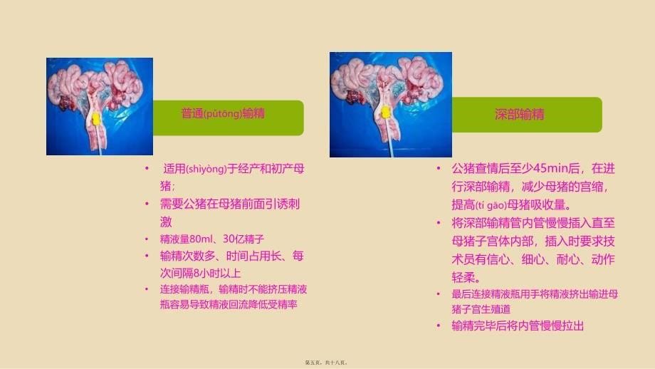 医学专题—子宫深部输精new资料_第5页