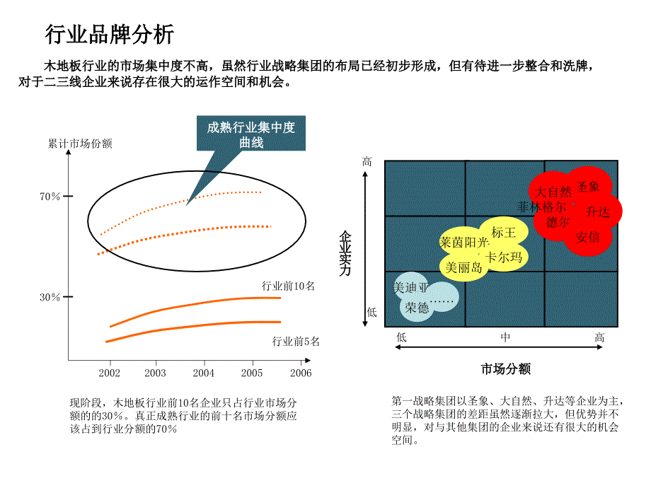 地板项目品牌分析_第2页