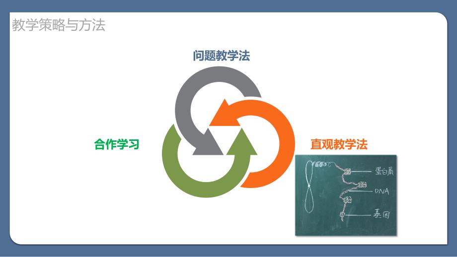 基因与DNA分子的关系 参赛课件_第3页