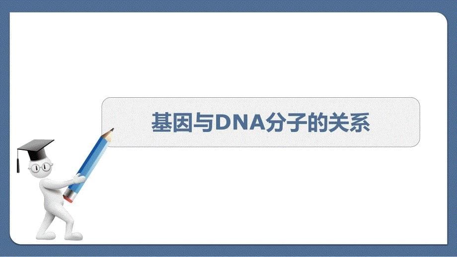 基因与DNA分子的关系 参赛课件_第5页