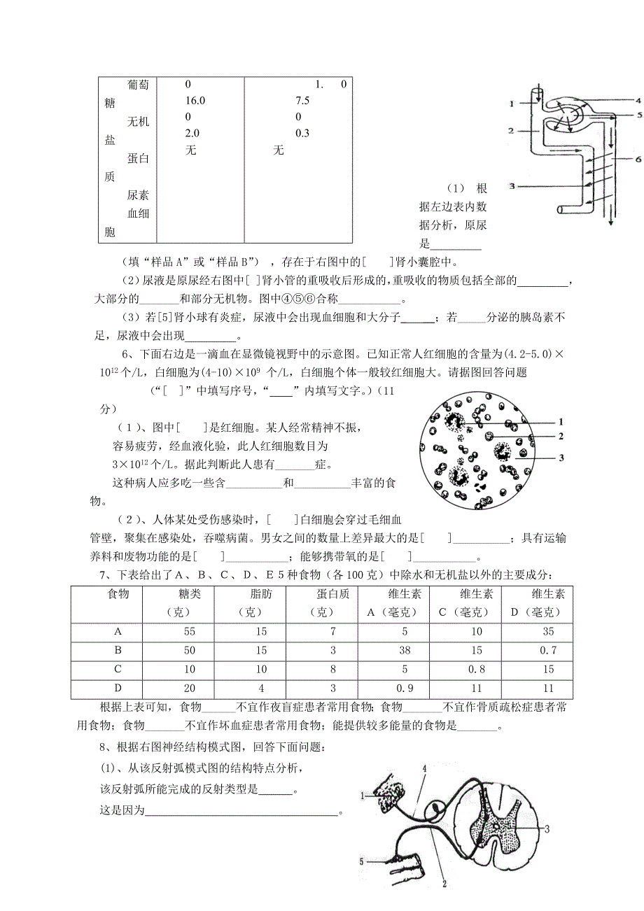 新人教版初中七年级生物下册试题附答案_第4页