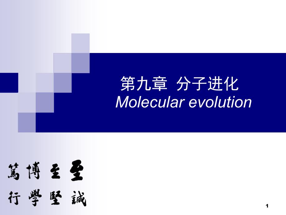 分子进化ppt课件_第1页