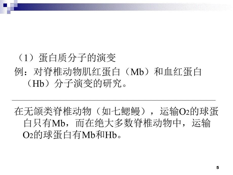 分子进化ppt课件_第5页