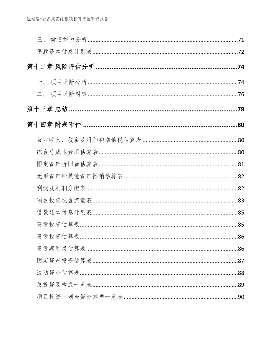 吕梁高纯氢项目可行性研究报告（模板范文）_第4页