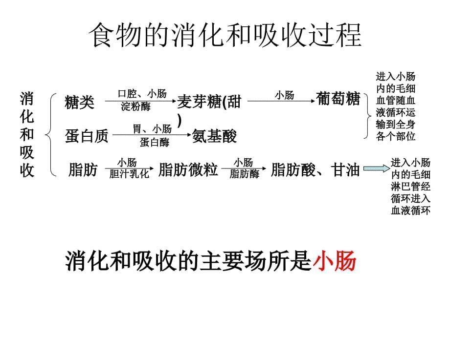 初中生物知识结构图ppt课件_第5页