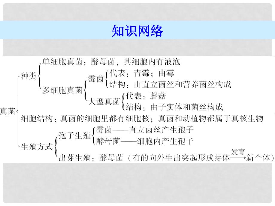 广东省八年级生物上册 第五单元 第4章 第3节 真菌导练课件 （新版）新人教版_第2页