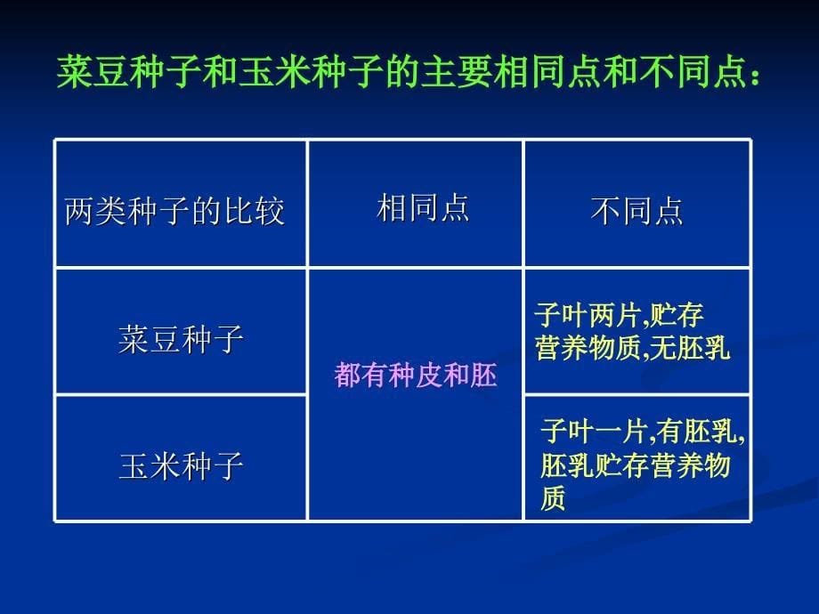 《种子萌发形成幼苗》PPT课件.ppt_第5页