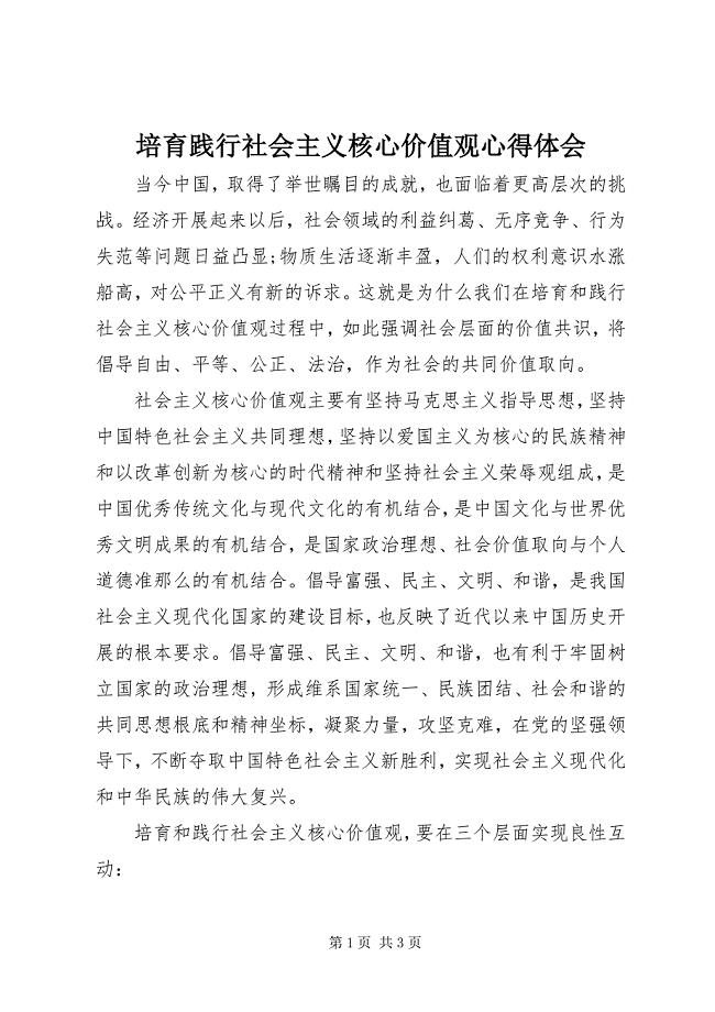 2023年培育践行社会主义核心价值观心得体会.docx