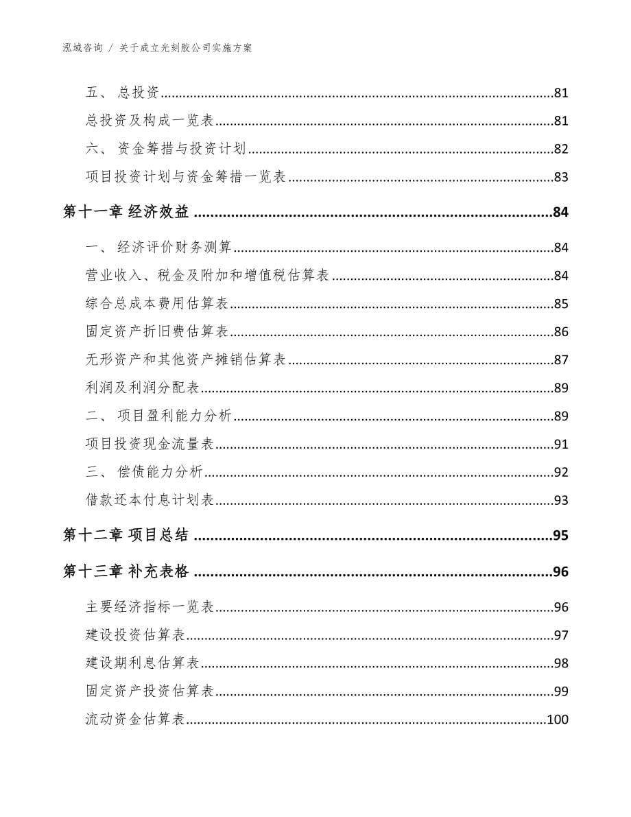 关于成立光刻胶公司实施方案_参考范文_第5页