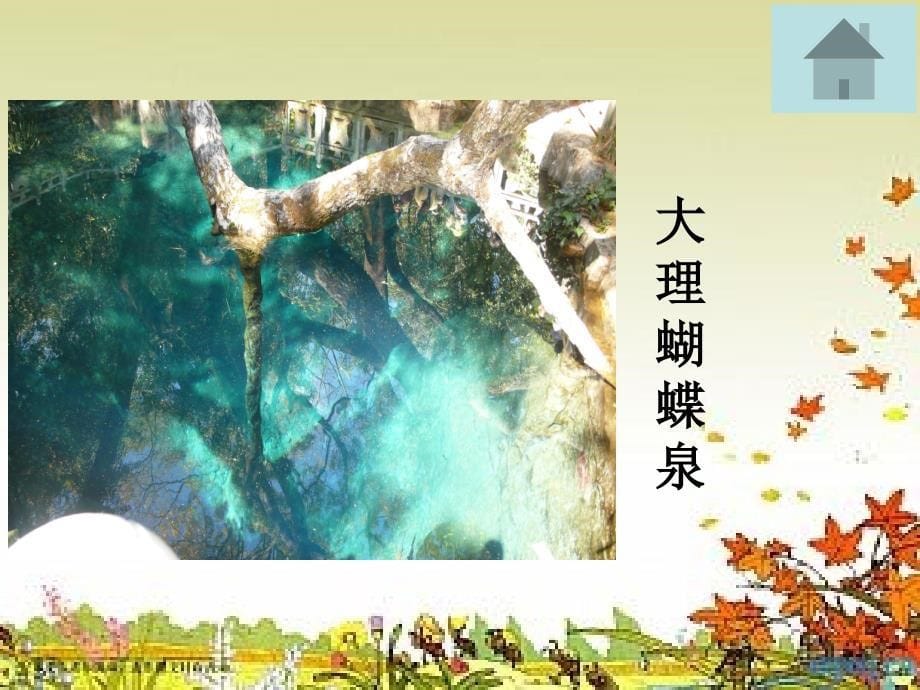 4《珍珠泉》_第5页