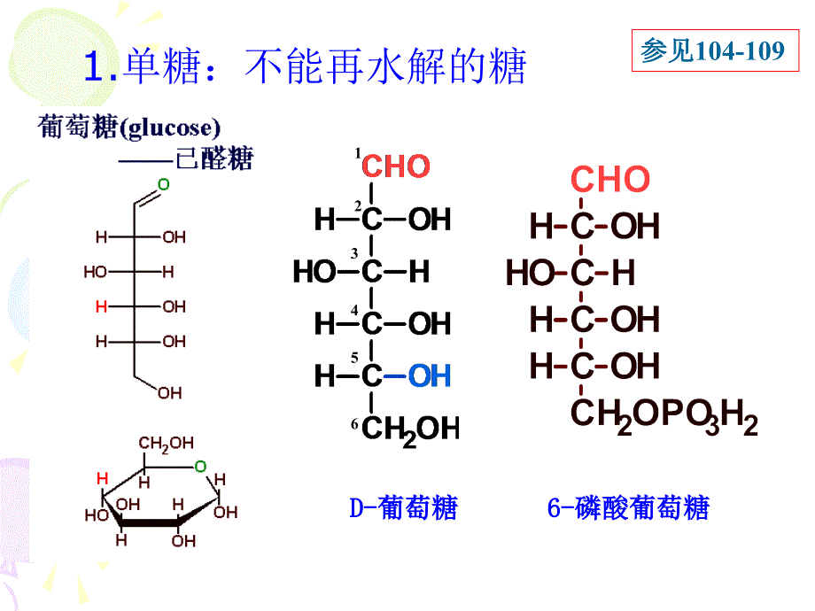 生物化学糖类与糖代谢课件_第4页