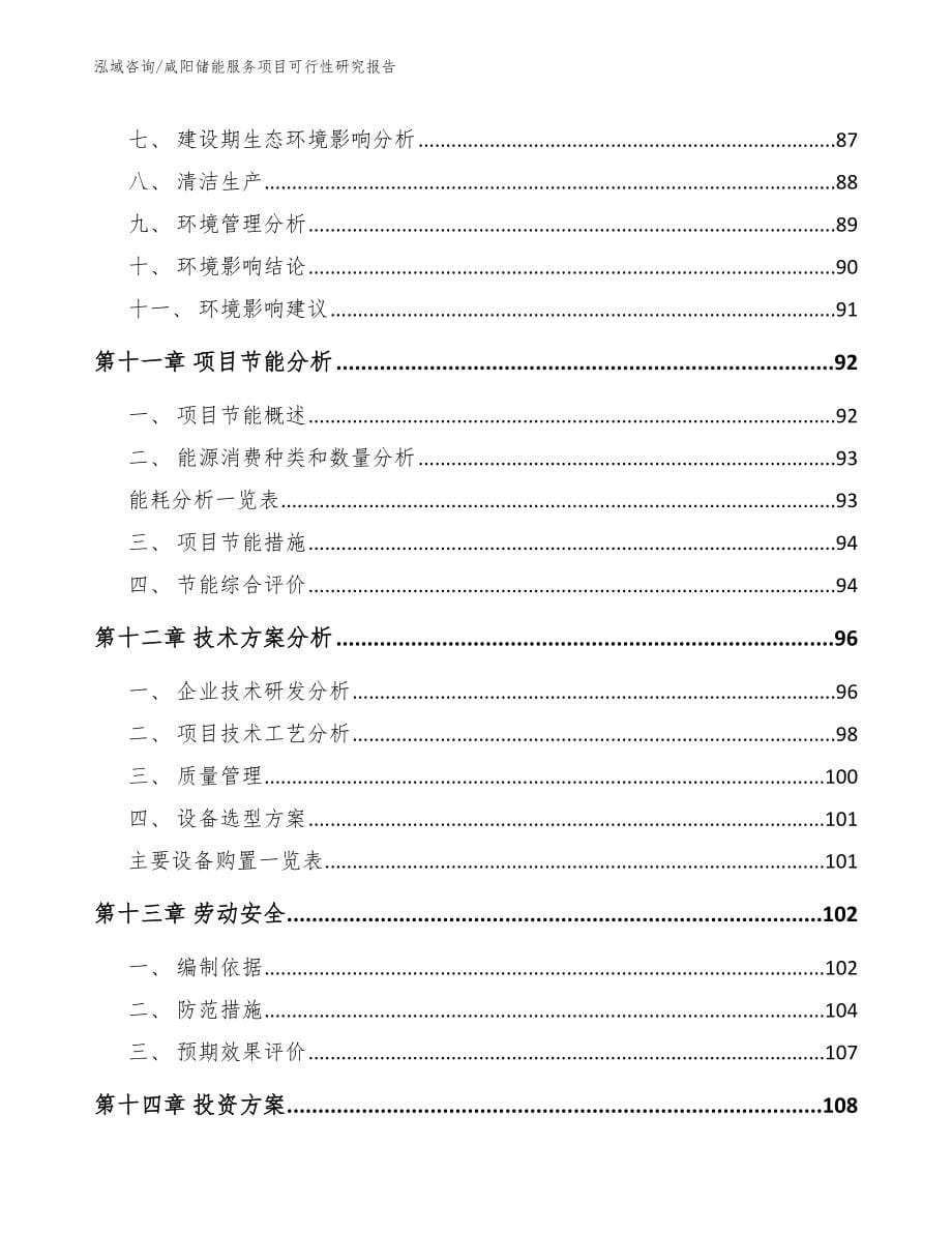 咸阳储能服务项目可行性研究报告_范文_第5页