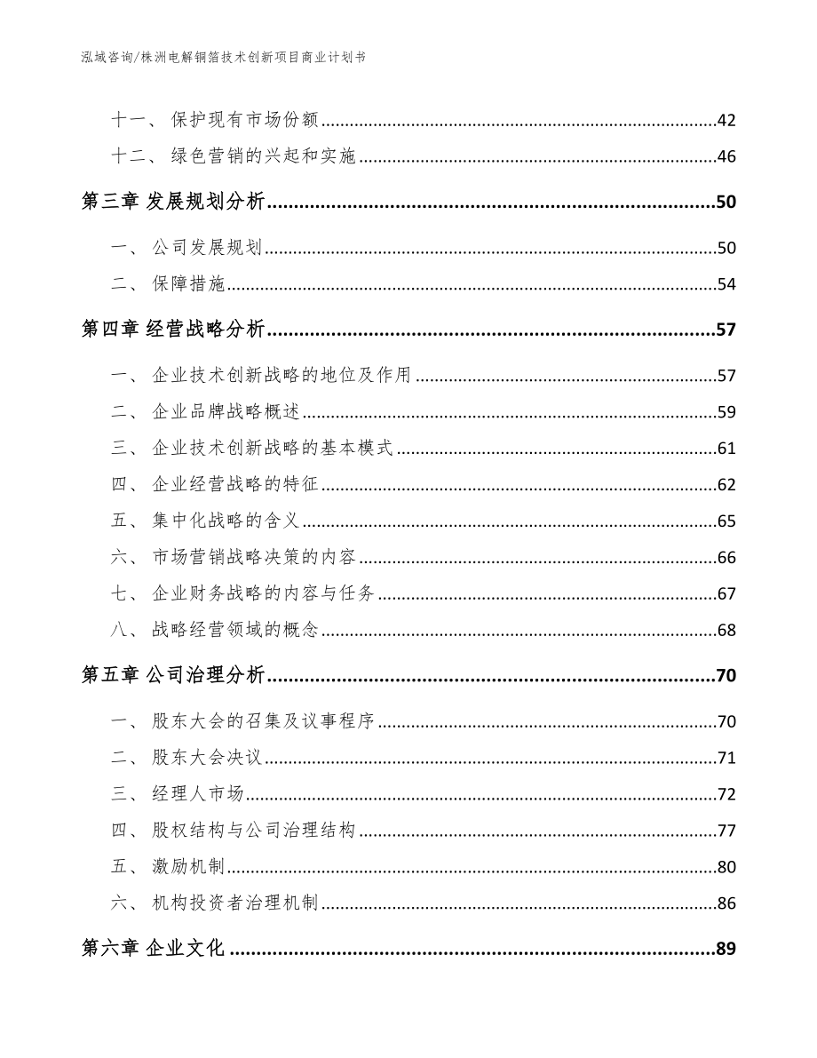 株洲电解铜箔技术创新项目商业计划书（模板）_第3页