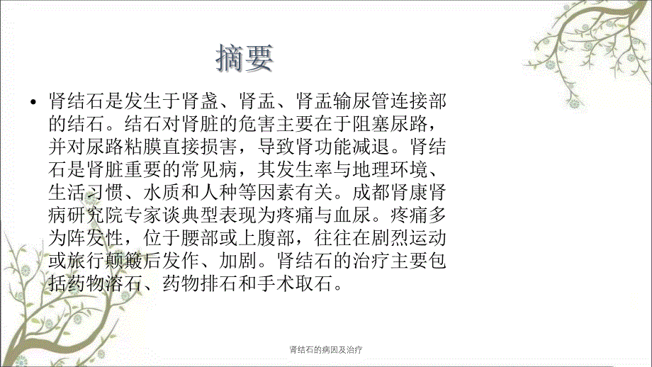 肾结石的病因及治疗_第2页