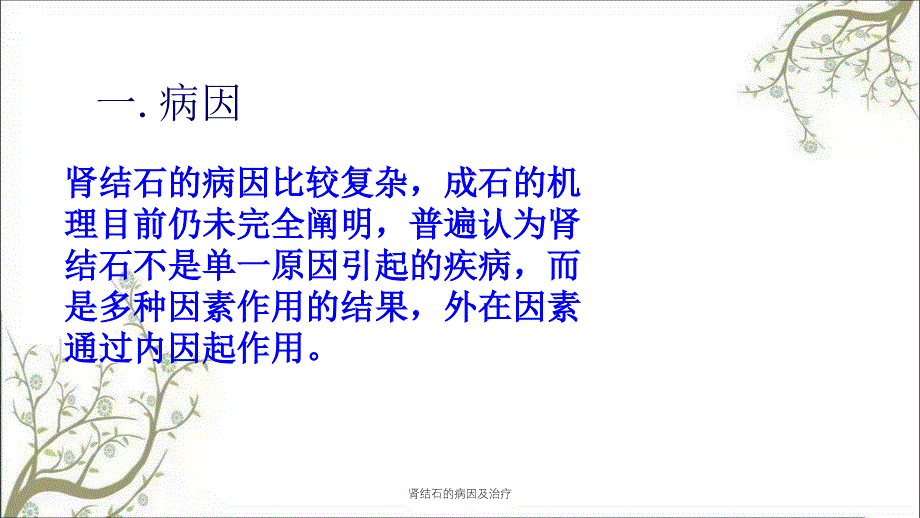 肾结石的病因及治疗_第4页