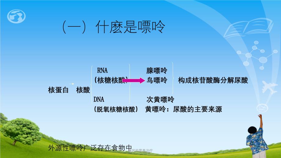 痛风的营养治疗ppt课件_第3页