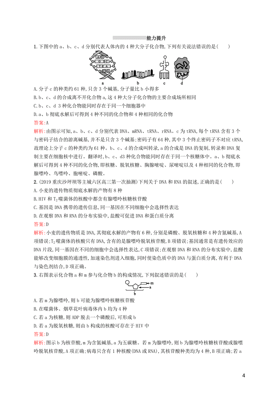 （广西专用）2021版高考生物一轮复习 考点规范练3 遗传信息的携带者&amp;mdash;&amp;mdash;核酸 细胞中的糖类和脂质（含解析）新人教版_第4页