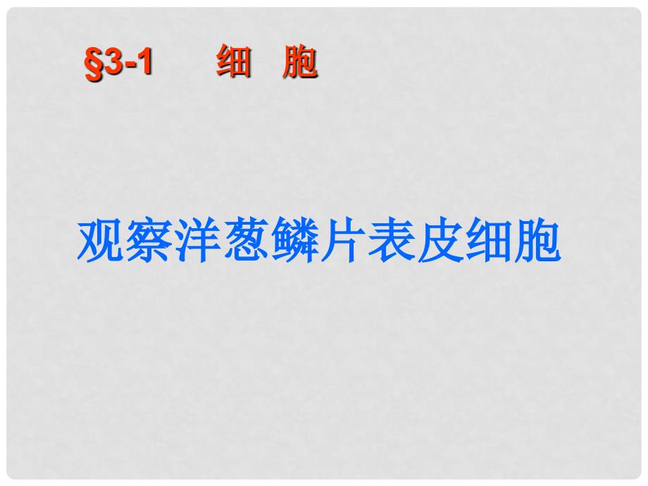 七年级生物上册 观察洋葱鳞片表皮细胞课件 北京课改版_第1页