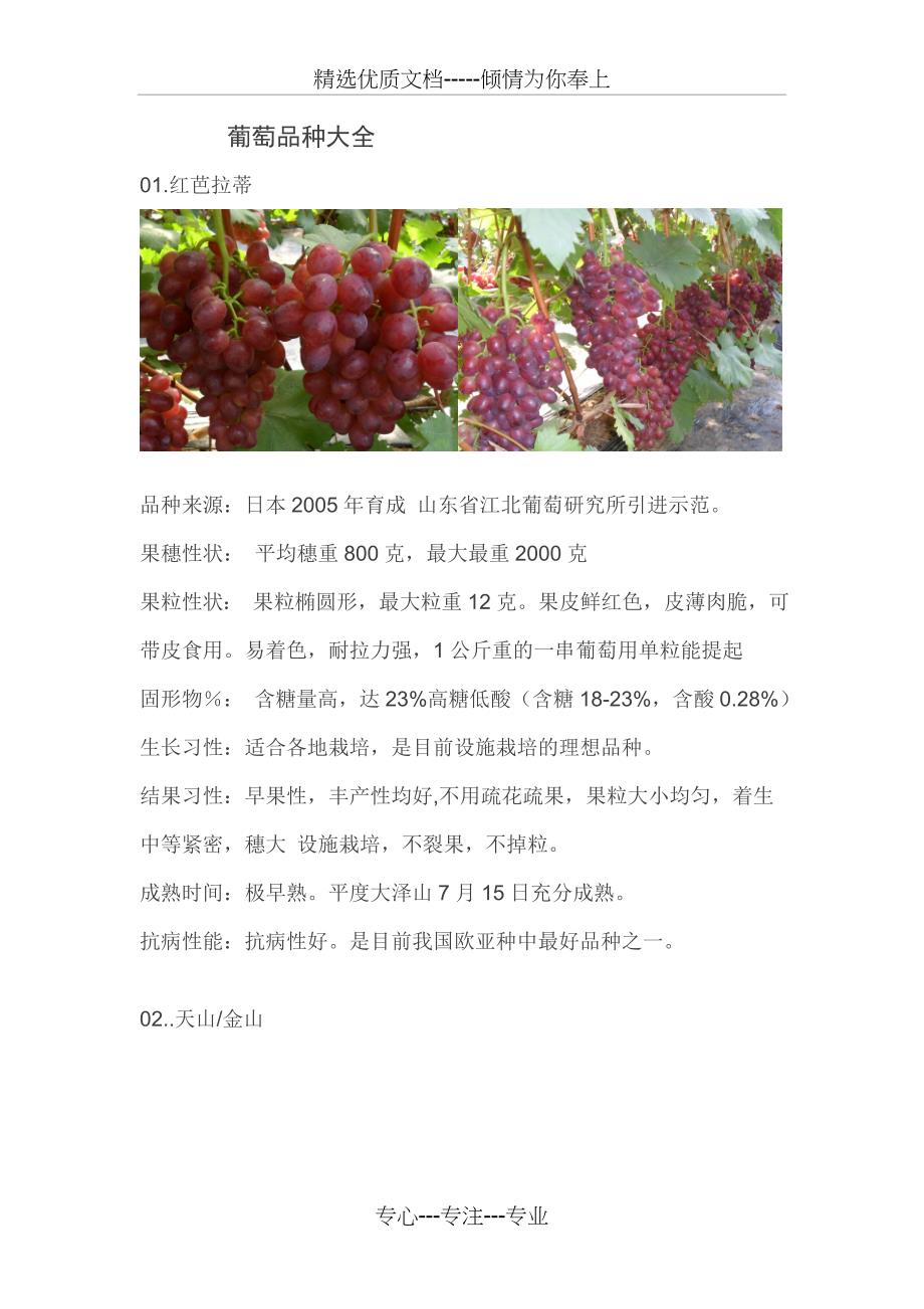 葡萄品种大全_第1页