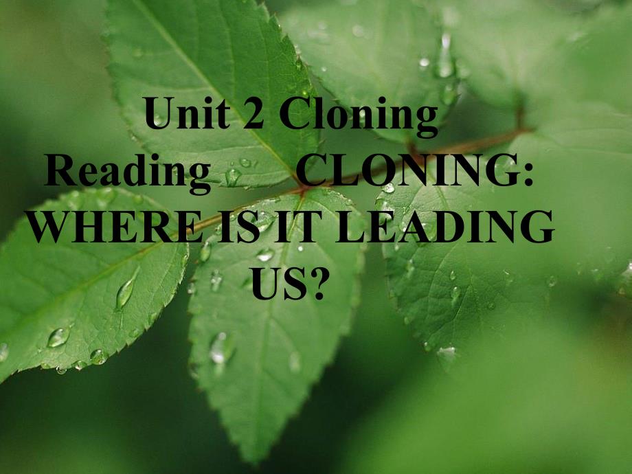 人教版高中英语课件：Unit 2 Cloning_第2页