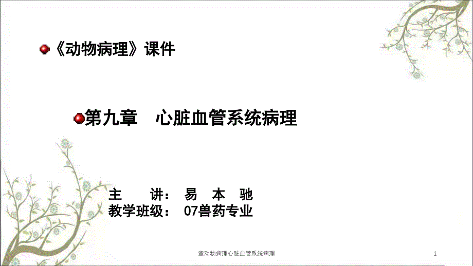 章动物病理心脏血管系统病理课件_第1页