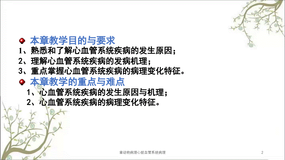 章动物病理心脏血管系统病理课件_第2页