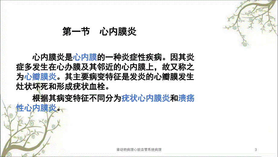 章动物病理心脏血管系统病理课件_第3页