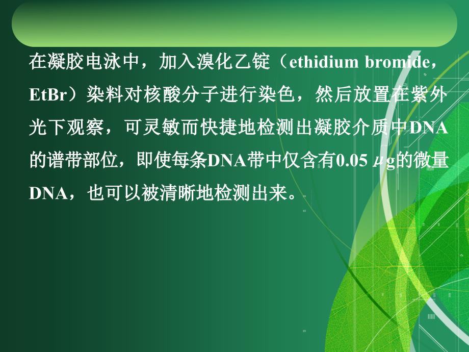 现代分子生物学复习_第3页