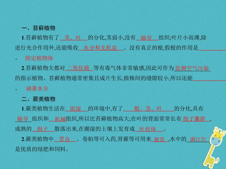 最新八年级生物下册22.3植物的主要类群1_第3页