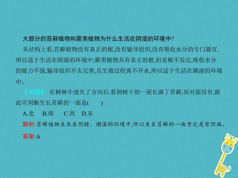 最新八年级生物下册22.3植物的主要类群1_第4页