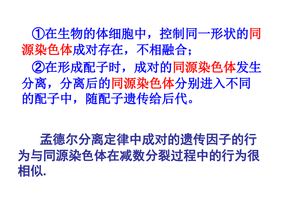 人教版教学课件减数分裂基因和染色体的关系课件_第2页