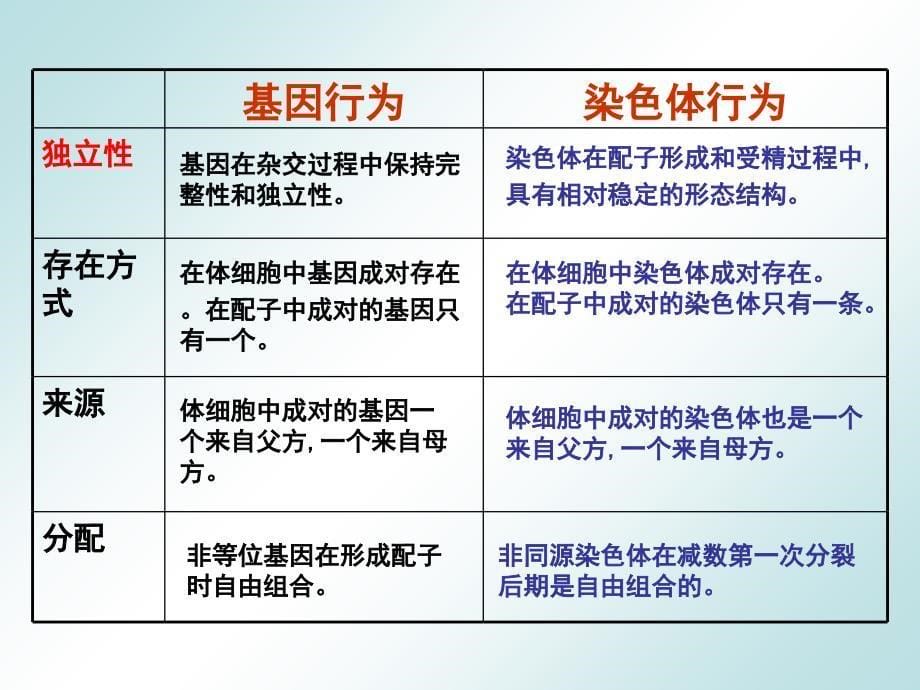 人教版教学课件减数分裂基因和染色体的关系课件_第5页