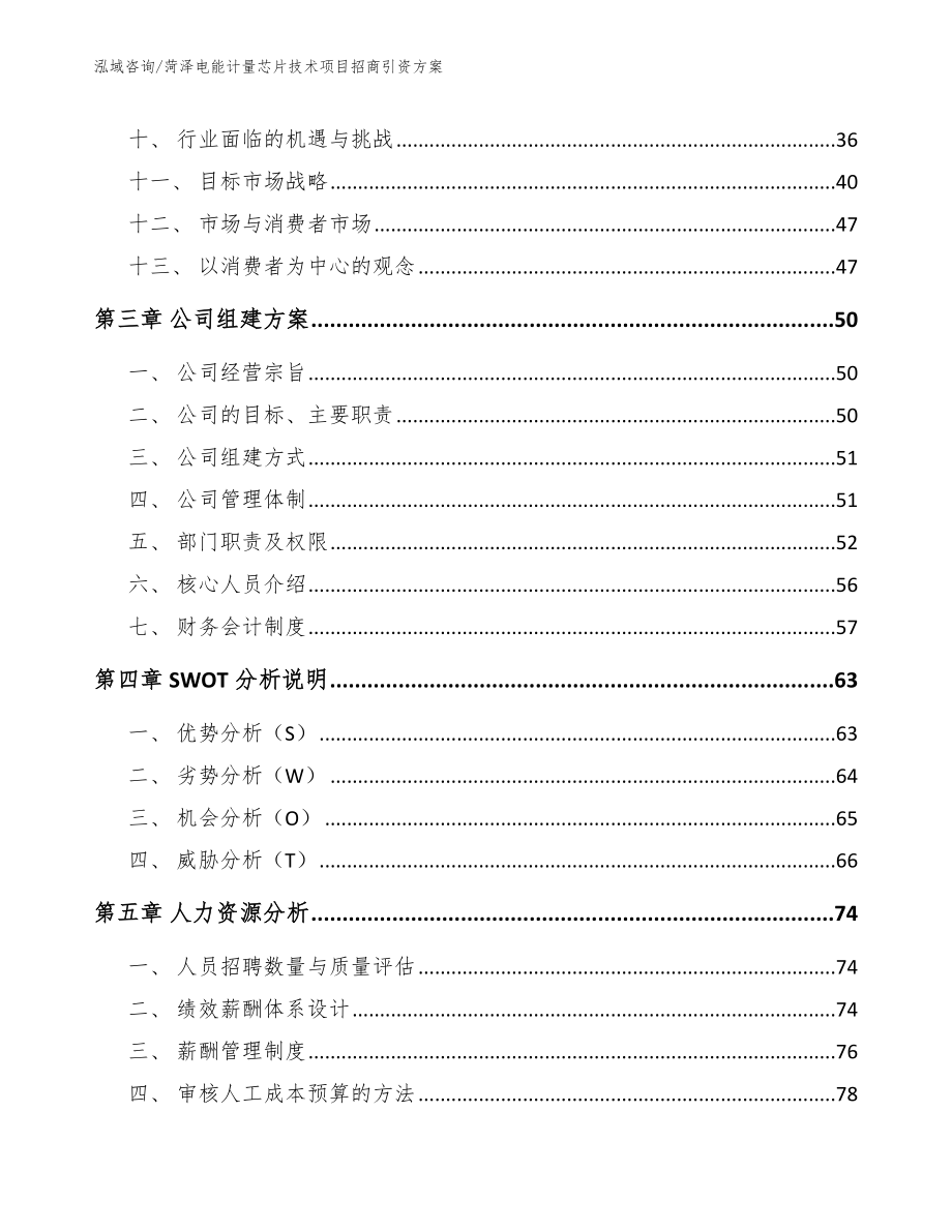 菏泽电能计量芯片技术项目招商引资方案（模板参考）_第2页