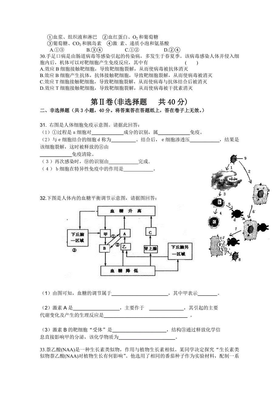 河南省焦作一中2011届高三生物12月月考新人教版_第5页