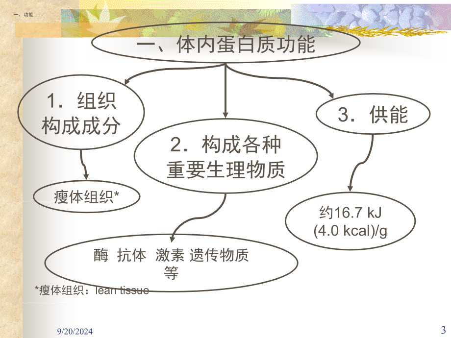 营养学概论.PPT_第3页