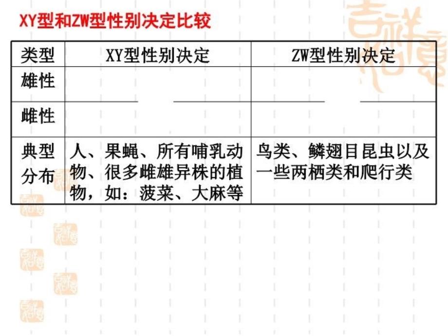 最新复习伴性遗传幻灯片_第3页