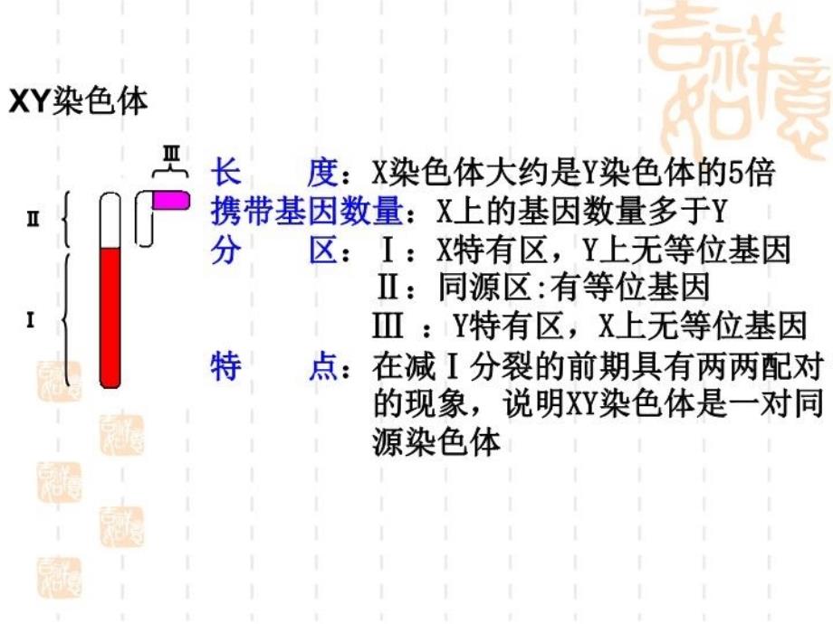 最新复习伴性遗传幻灯片_第4页