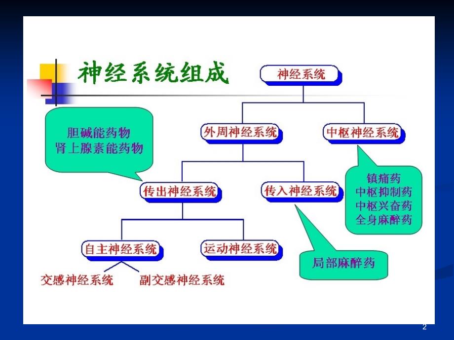 拟胆碱药物PPT课件_第2页