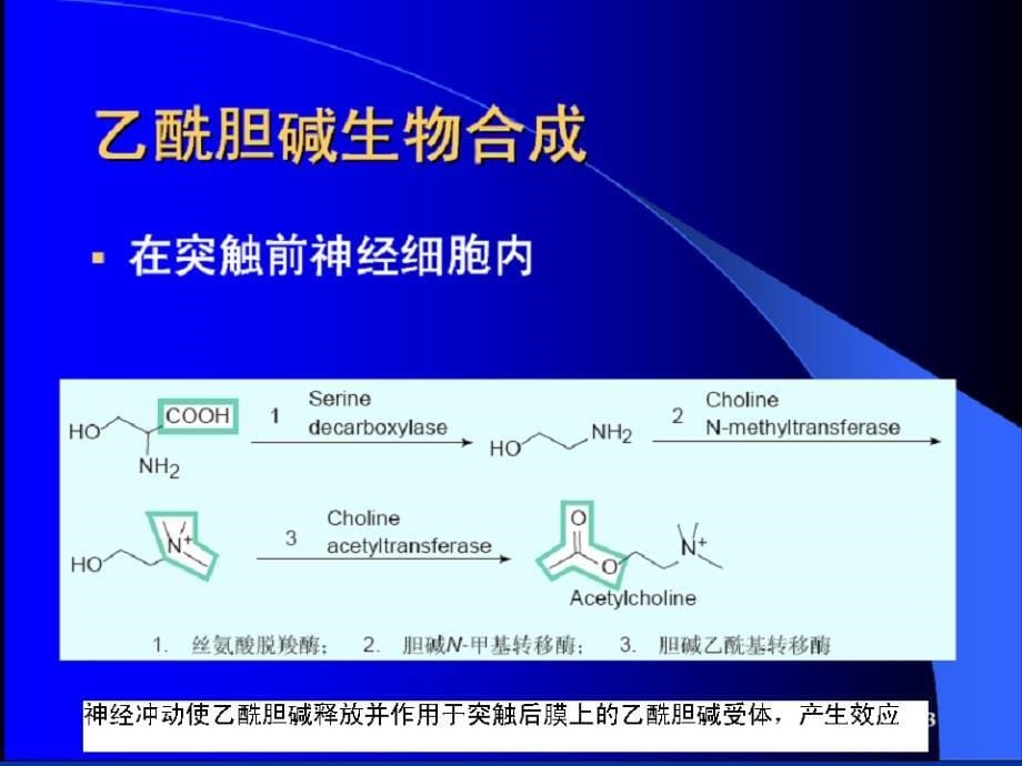 拟胆碱药物PPT课件_第5页