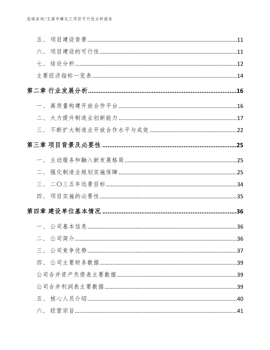 玉溪市磷化工项目可行性分析报告_第3页