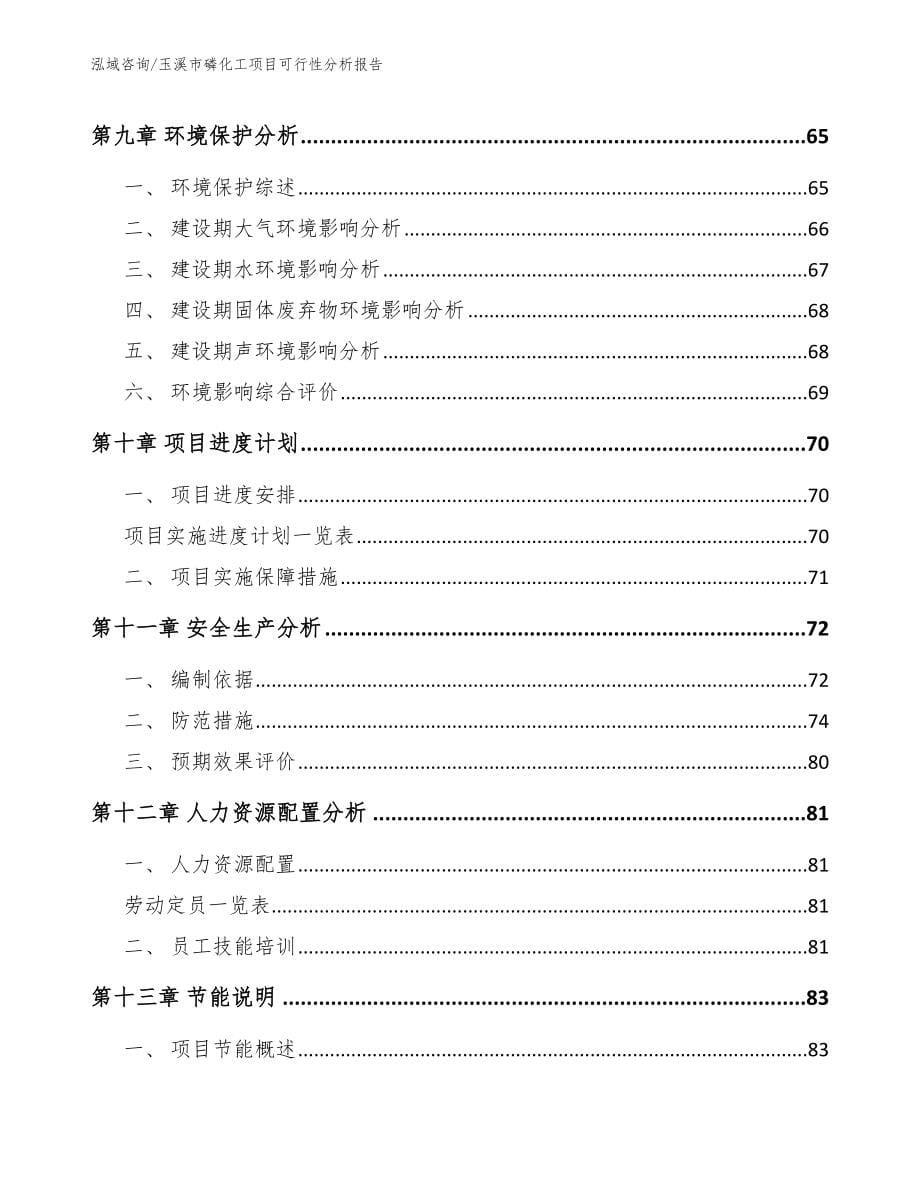 玉溪市磷化工项目可行性分析报告_第5页