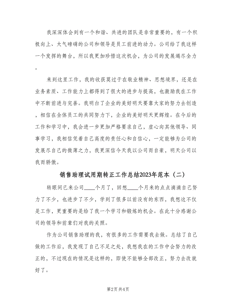 销售助理试用期转正工作总结2023年范本（二篇）.doc_第2页