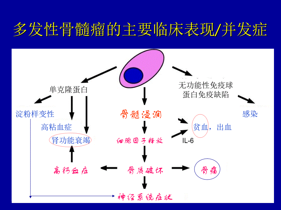 最新多发性骨髓瘤的分层治疗PPT课件_第2页