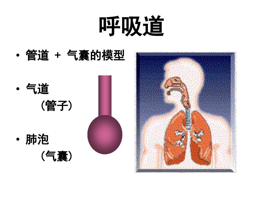 呼吸力学的监测_第2页