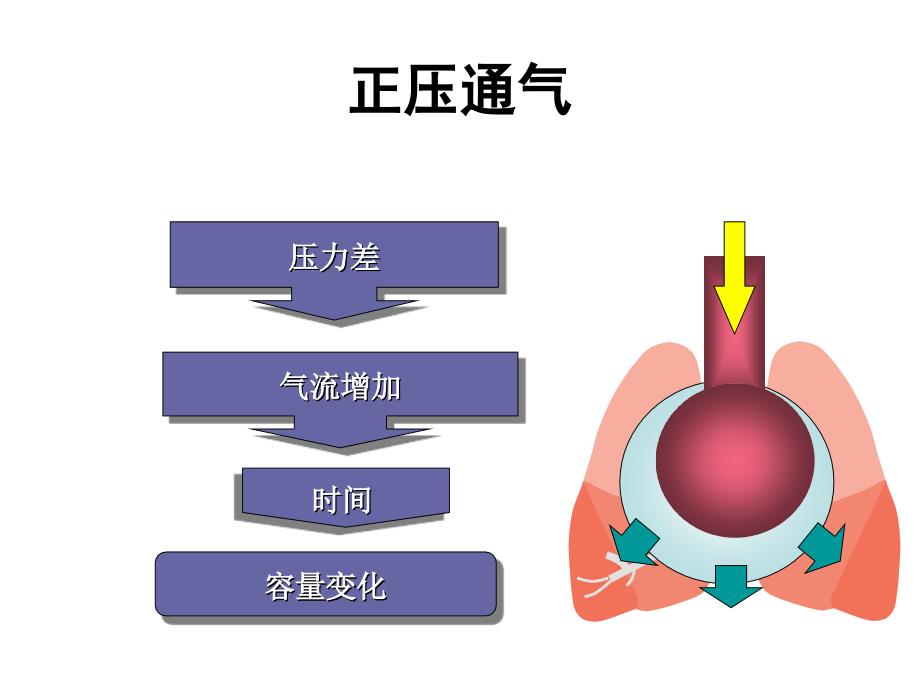 呼吸力学的监测_第4页