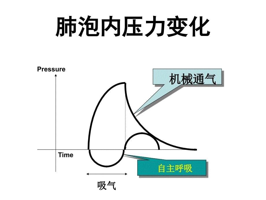 呼吸力学的监测_第5页